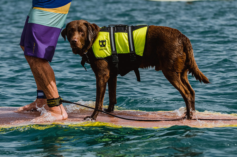 rei de búzios, stand up paddle, SUP, cobertura fotográfica, fotografia esportiva, sportsession, agência sportsession, agência fotográfica, evento esportivo